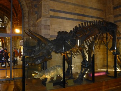 P1020055